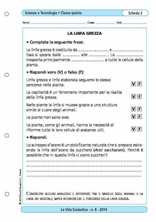 La linfa grezza | Giunti Scuola La linfa grezza | Giunti Scuola