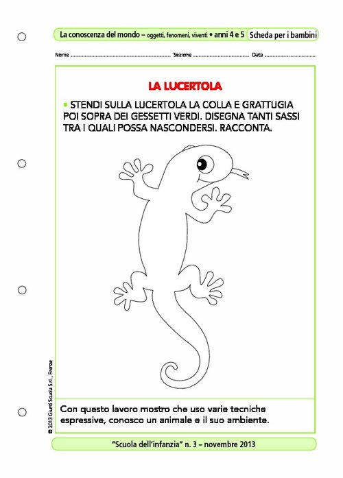 La lucertola | Giunti Scuola La lucertola | Giunti Scuola