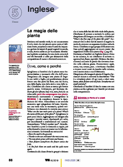 La magia delle piante | Giunti Scuola La magia delle piante | Giunti Scuola