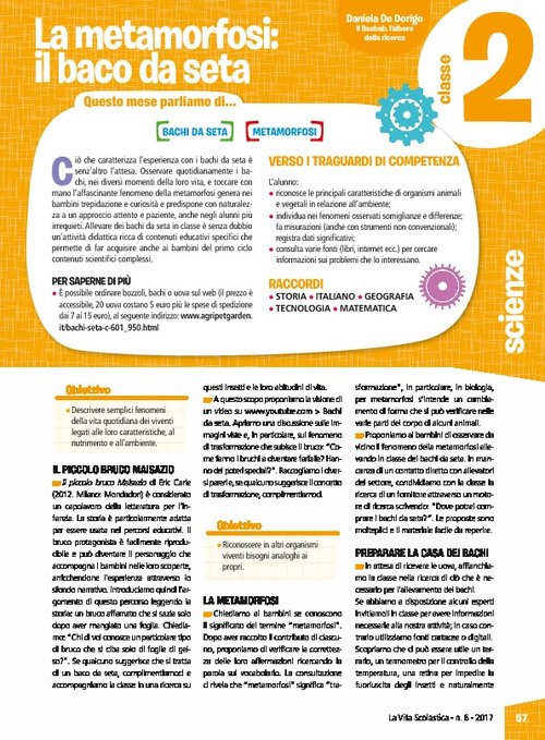 La metamorfosi: il baco da seta | Giunti Scuola La metamorfosi: il baco da seta | Giunti Scuola