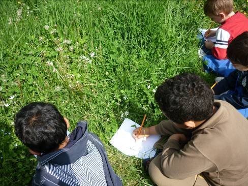 La natura dialoga con l’arte | Giunti Scuola La natura dialoga con l’arte | Giunti Scuola