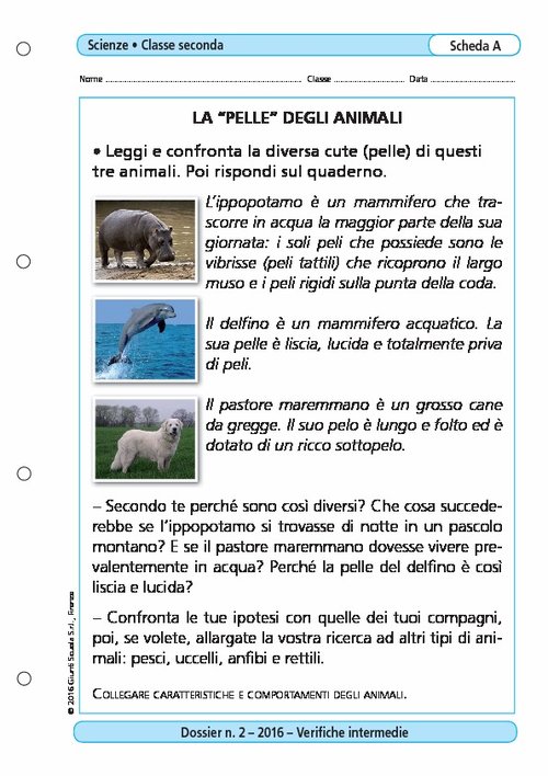 La "pelle" degli animali | Giunti Scuola La "pelle" degli animali | Giunti Scuola