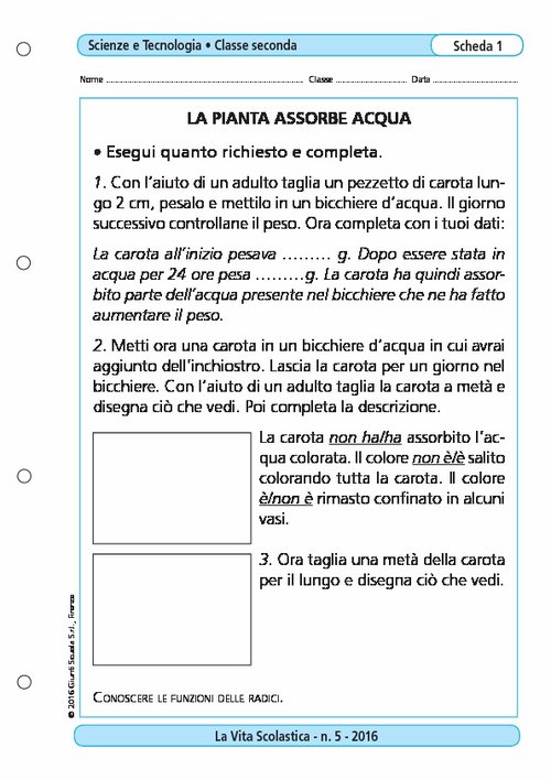 La pianta assorbe acqua | Giunti Scuola La pianta assorbe acqua | Giunti Scuola