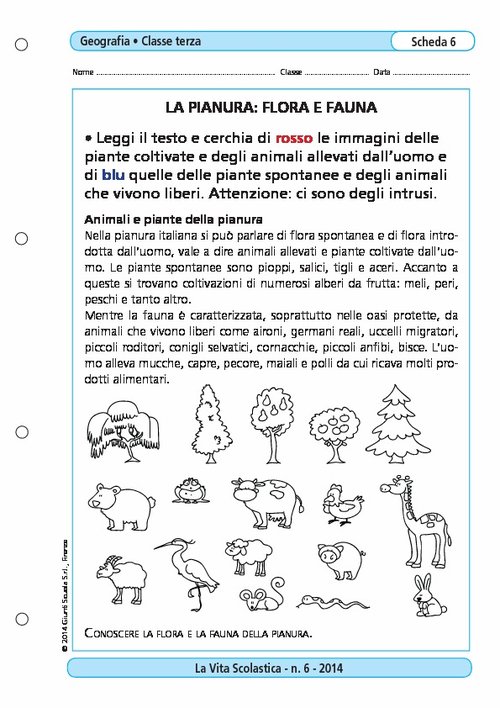 La pianura: flora e fauna | Giunti Scuola