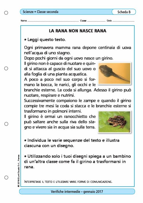 La rana non nasce rana | Giunti Scuola La rana non nasce rana | Giunti Scuola