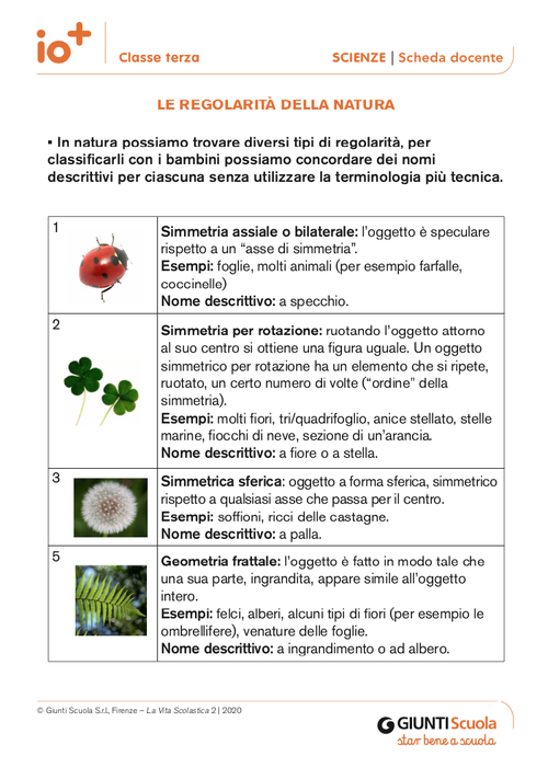La regolarità della natura | Giunti Scuola La regolarità della natura | Giunti Scuola