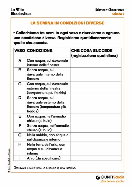 La semina in condizioni diverse | Giunti Scuola La semina in condizioni diverse | Giunti Scuola