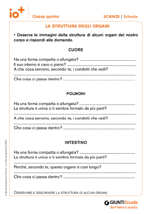 La struttura degli organi | Giunti Scuola La struttura degli organi | Giunti Scuola