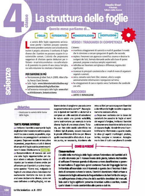 La struttura delle foglie | Giunti Scuola La struttura delle foglie | Giunti Scuola