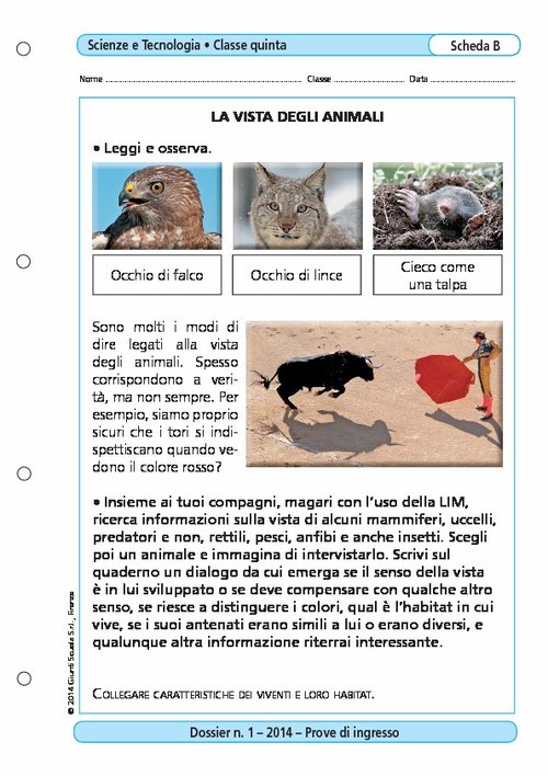 La vista degli animali | Giunti Scuola La vista degli animali | Giunti Scuola