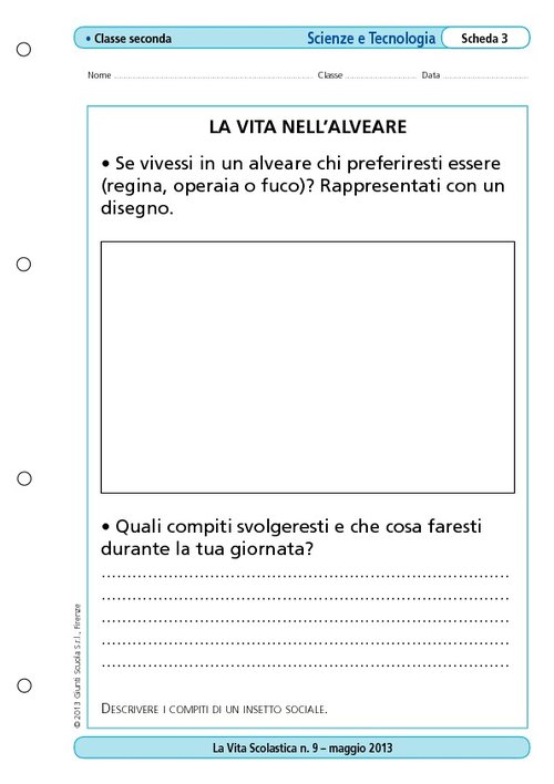 La vita nell'alveare | Giunti Scuola