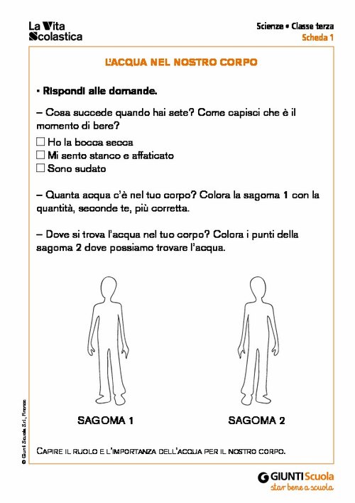 L’acqua nel nostro corpo | Giunti Scuola L’acqua nel nostro corpo | Giunti Scuola