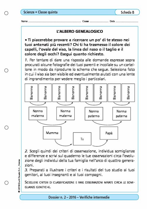 L'albero genealogico | Giunti Scuola L'albero genealogico | Giunti Scuola