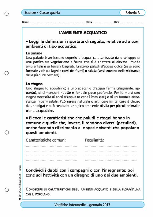 L'ambiente acquatico | Giunti Scuola L'ambiente acquatico | Giunti Scuola