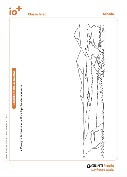 L'ambiente della Savana | Giunti Scuola