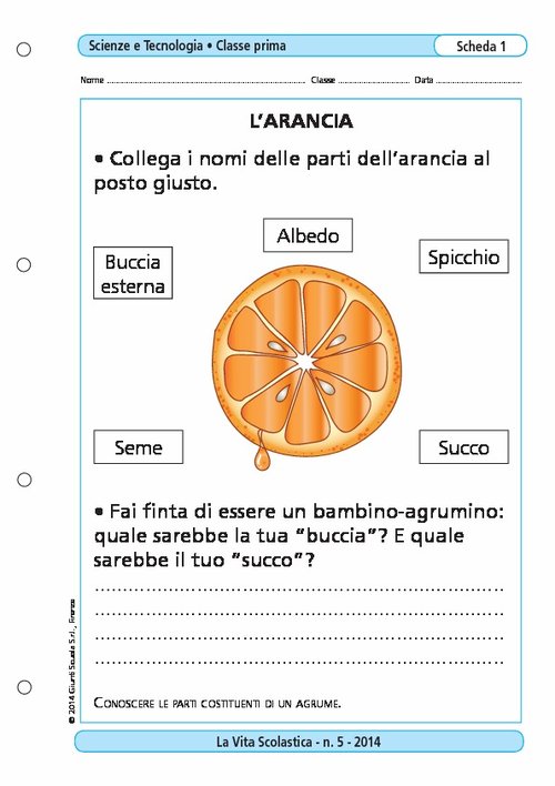 L'arancia | Giunti Scuola L'arancia | Giunti Scuola