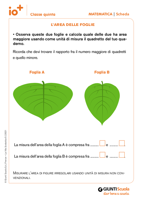 L'area delle foglie | Giunti Scuola L'area delle foglie | Giunti Scuola