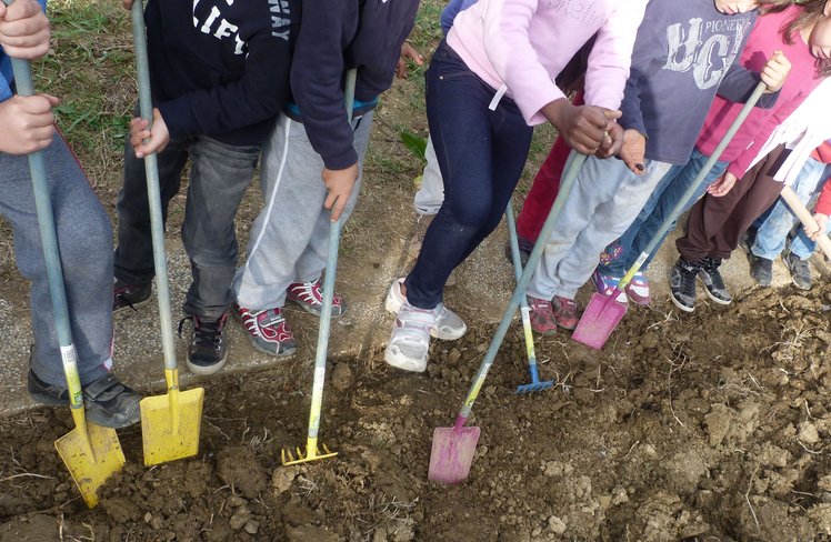 Lavori d'autunno nell'orto tra attese e scoperte | Giunti Scuola Lavori d'autunno nell'orto tra attese e scoperte | Giunti Scuola