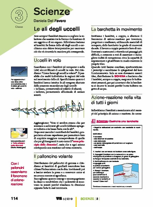 Le ali degli uccelli | Giunti Scuola