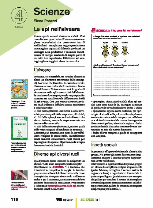 Le api nell’alveare | Giunti Scuola Le api nell’alveare | Giunti Scuola