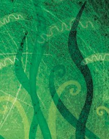 Le avventure della scienza | Giunti Scuola