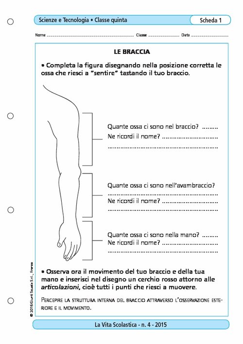 Le braccia | Giunti Scuola Le braccia | Giunti Scuola