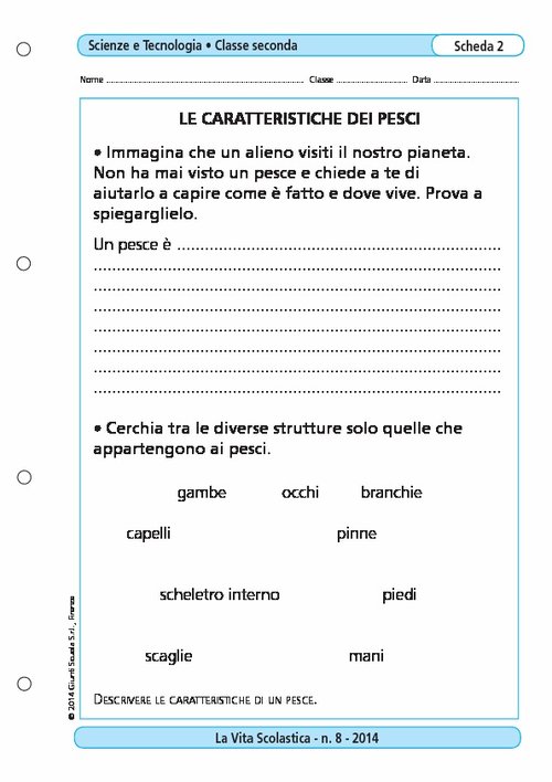 Le caratteristiche dei pesci | Giunti Scuola Le caratteristiche dei pesci | Giunti Scuola