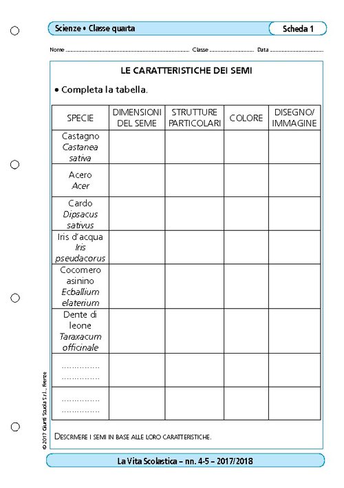Le caratteristiche dei semi | Giunti Scuola