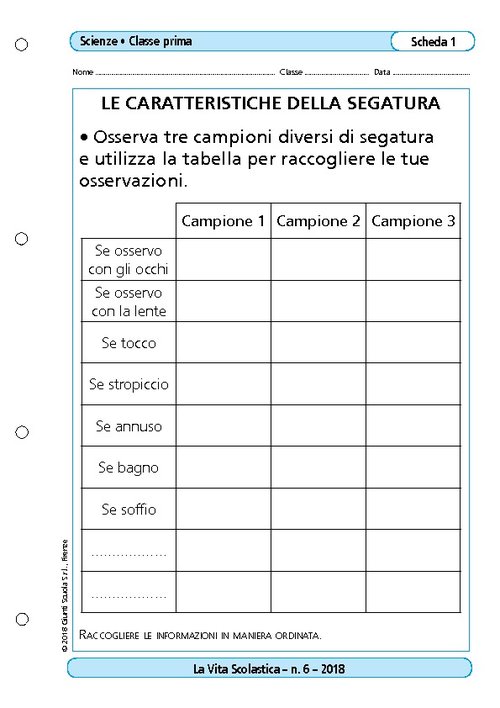 Le caratteristiche della segatura | Giunti Scuola Le caratteristiche della segatura | Giunti Scuola