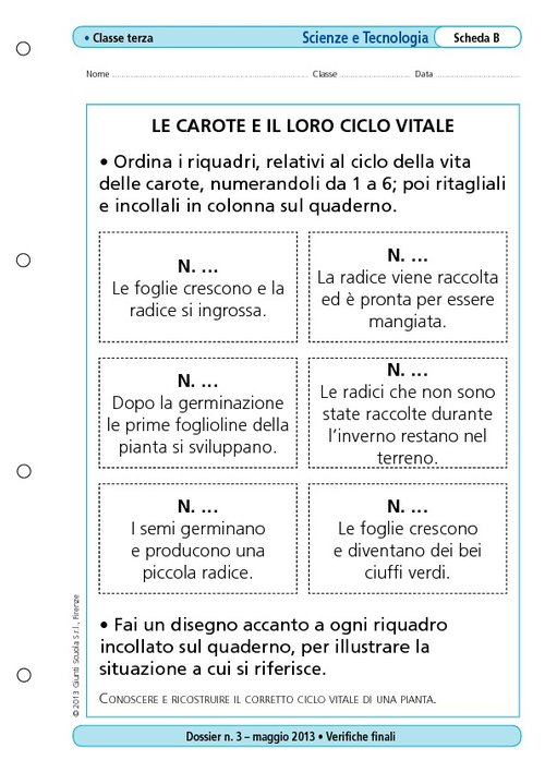 Le carote e il loro ciclo vitale | Giunti Scuola Le carote e il loro ciclo vitale | Giunti Scuola
