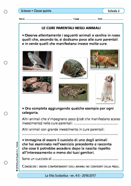 Le cure parentali negli animali | Giunti Scuola Le cure parentali negli animali | Giunti Scuola
