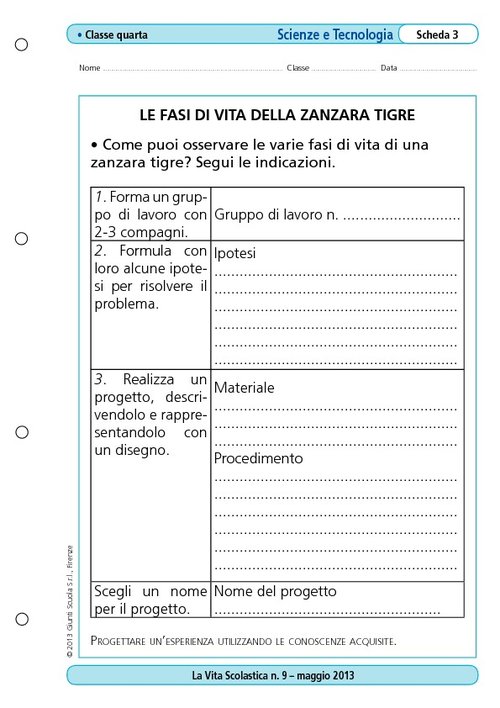 Le fasi di vita della zanzara tigre | Giunti Scuola Le fasi di vita della zanzara tigre | Giunti Scuola