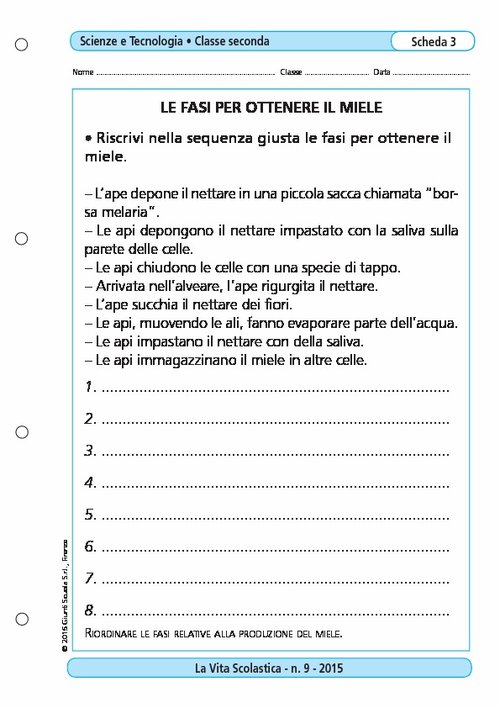 Le fasi per ottenere il miele | Giunti Scuola Le fasi per ottenere il miele | Giunti Scuola