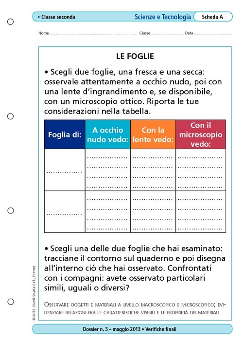 Le foglie | Giunti Scuola Le foglie | Giunti Scuola