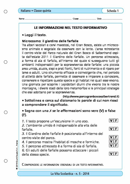 Le informazioni nel testo informativo | Giunti Scuola Le informazioni nel testo informativo | Giunti Scuola