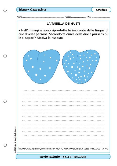 Le papille gustative | Giunti Scuola Le papille gustative | Giunti Scuola