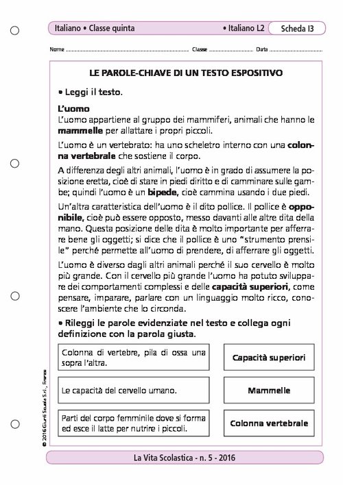 Le parole-chiave di un testo espositivo | Giunti Scuola Le parole-chiave di un testo espositivo | Giunti Scuola