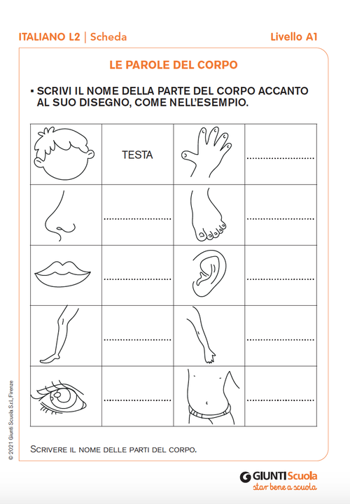 Le parole del corpo | Giunti Scuola Le parole del corpo | Giunti Scuola