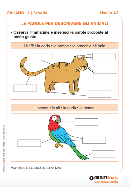 Le parole per descrivere gli animali | Giunti Scuola Le parole per descrivere gli animali | Giunti Scuola