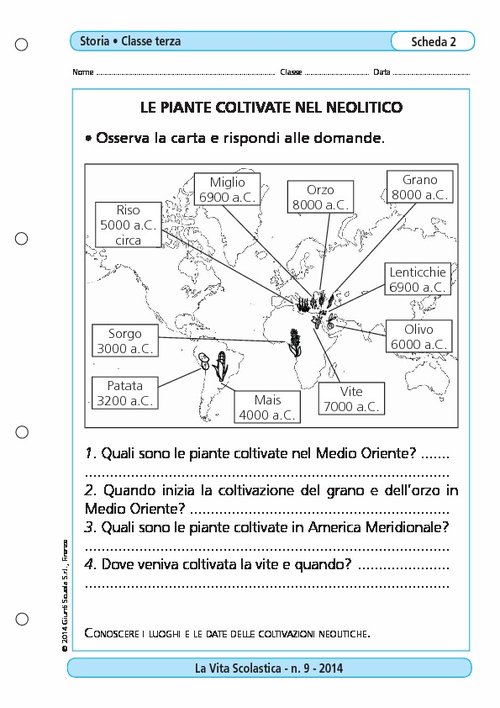 Le piante coltivate nel Neolitico | Giunti Scuola