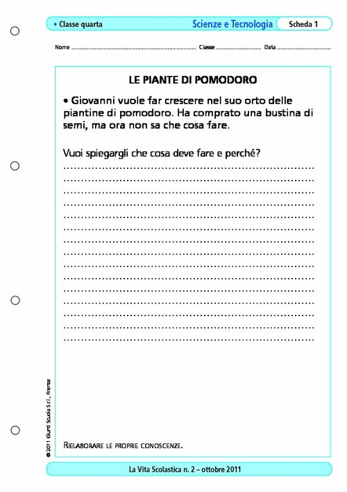 Le piante di pomodoro | Giunti Scuola Le piante di pomodoro | Giunti Scuola