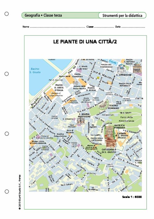 Le piante di una città/2 | Giunti Scuola Le piante di una città/2 | Giunti Scuola