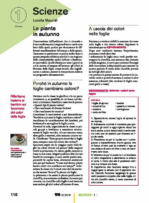 Le piante in autunno | Giunti Scuola Le piante in autunno | Giunti Scuola