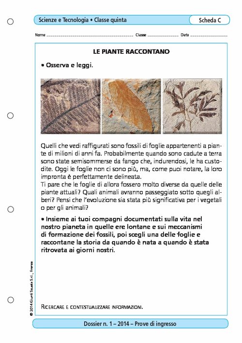 Le piante raccontano | Giunti Scuola Le piante raccontano | Giunti Scuola
