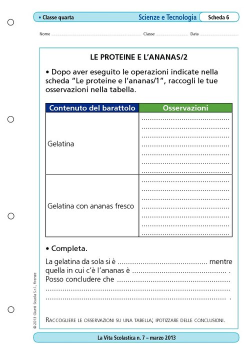 Le proteine e l'ananas/2 | Giunti Scuola Le proteine e l'ananas/2 | Giunti Scuola