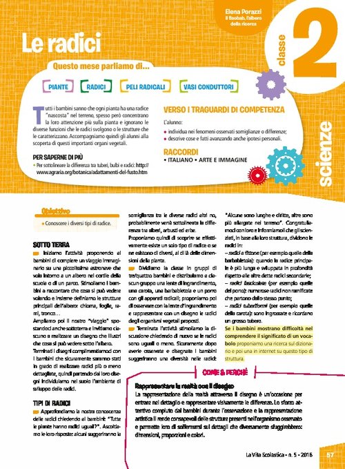 Le radici | Giunti Scuola