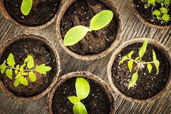 Le scelte della mia scuola multiculturale – Ripartire dai più piccoli | Giunti Scuola Le scelte della mia scuola multiculturale – Ripartire dai più piccoli | Giunti Scuola