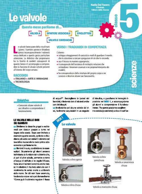 Le valvole | Giunti Scuola Le valvole | Giunti Scuola