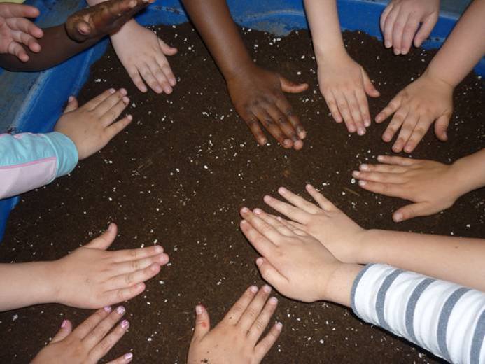 L'educazione scientifica per un nuovo orizzonte | Giunti Scuola L'educazione scientifica per un nuovo orizzonte | Giunti Scuola