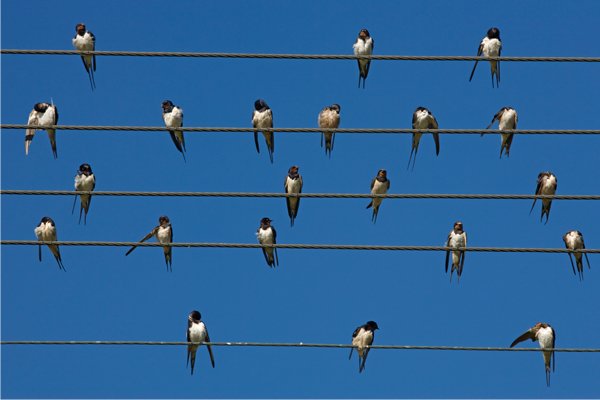 Legge di stabilità: teoria e pratica | Giunti Scuola